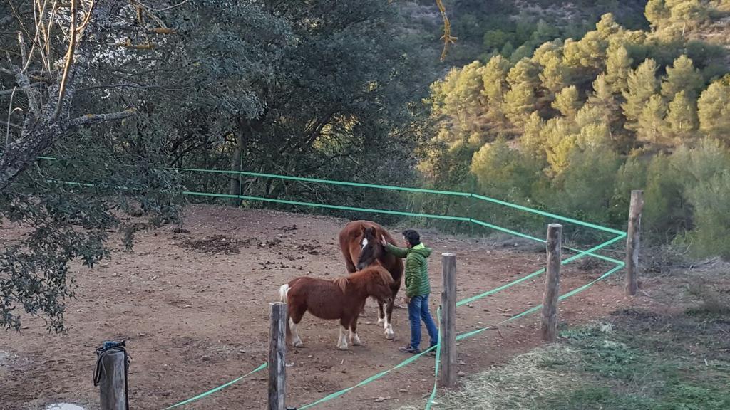 Masia Casajoana Rural Rellinars Eksteriør bilde